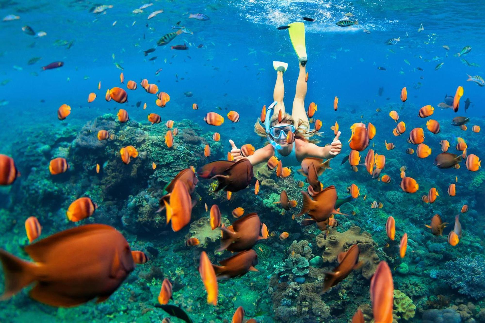 Honua Kai 322 Villa Lahaina Dış mekan fotoğraf
