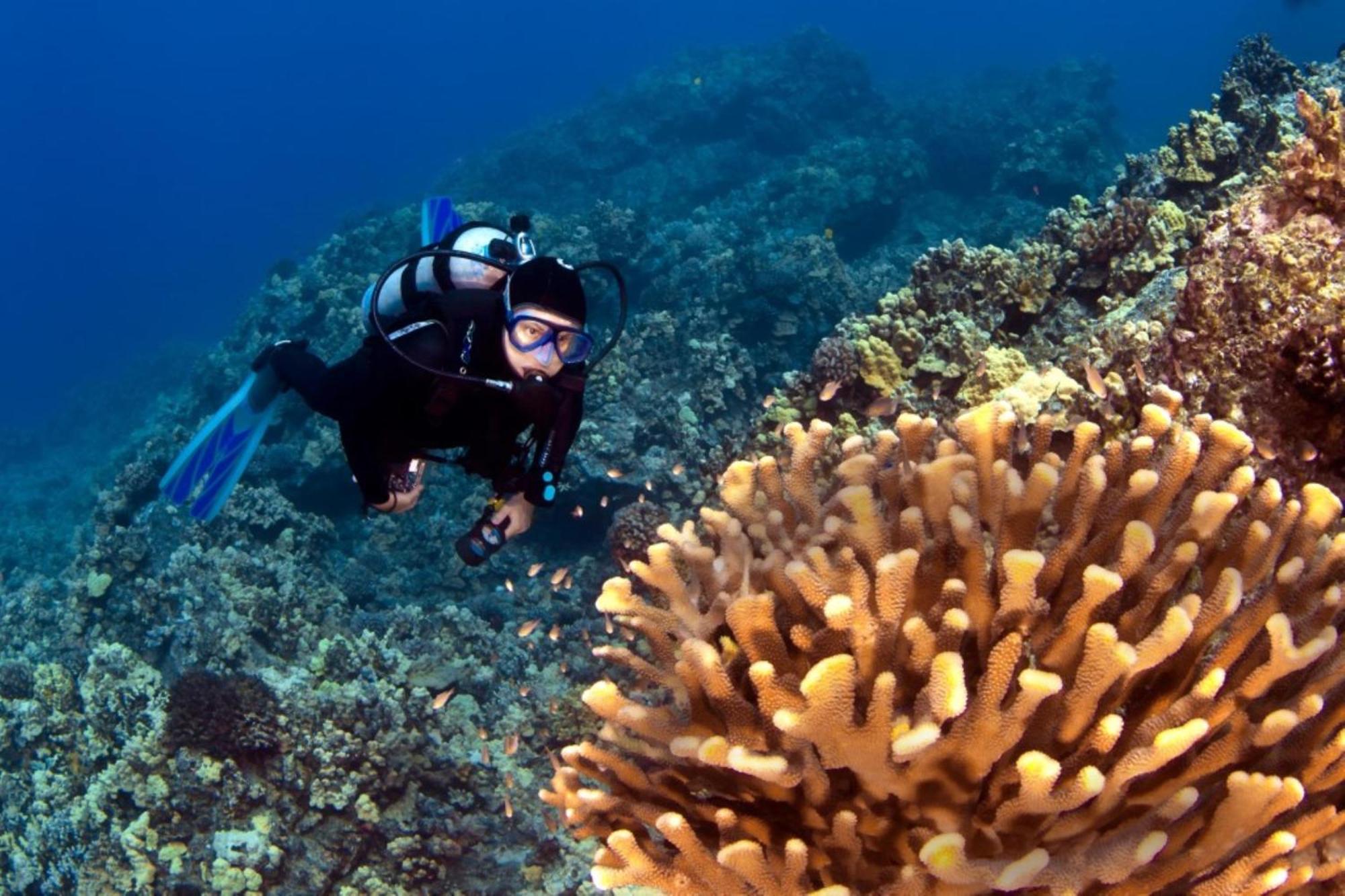 Honua Kai 322 Villa Lahaina Dış mekan fotoğraf